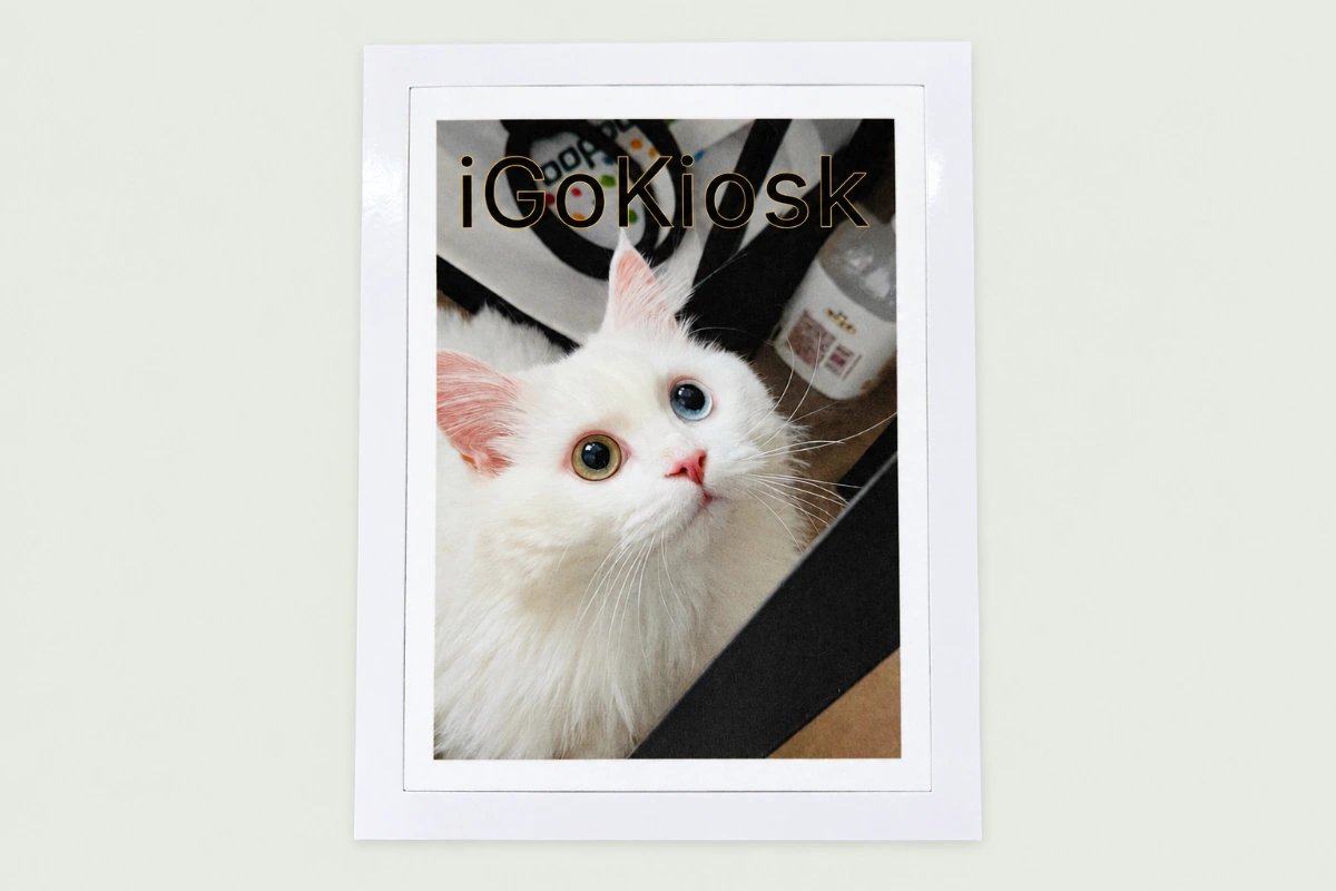 High color reproduction — T-Shirt Printing Kiosk